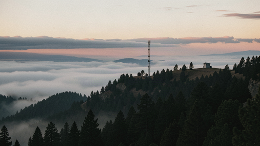 Public safety radio tower on a forested southern Oregon ridge at dusk, a countywide P25 radio system site